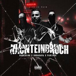 Album cover of NACHTEINBRUCH
