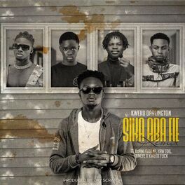 Album cover of Sika Aba Fie (Remix)