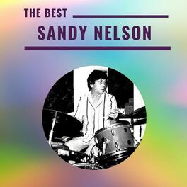 Album cover of Sandy Nelson - The Best