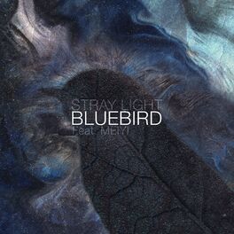 Album cover of Bluebird