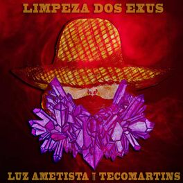 Album cover of Limpeza dos Exus