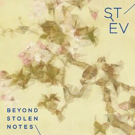 Album cover of Beyond Stolen Notes
