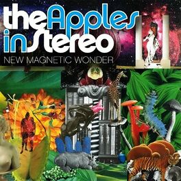 Album cover of New Magnetic Wonder