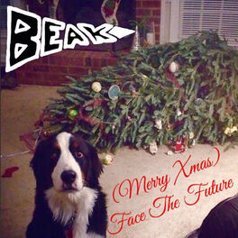 Album cover of (Merry Xmas) Face the Future