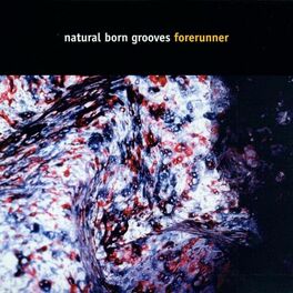 Album cover of Forerunner