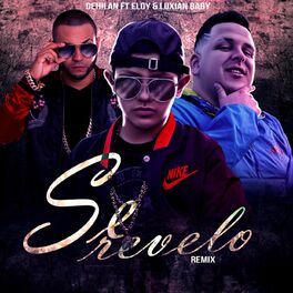 Album cover of Se Revelo (Remix)