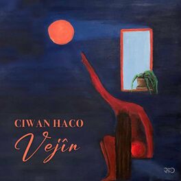 Album cover of Vejîn