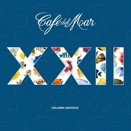 Album cover of Café del Mar, Vol. 22