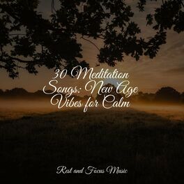 Album cover of 30 Meditation Songs: New Age Vibes for Calm
