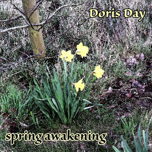 Doris Day Spring Awakening chansons et paroles Deezer Doris Day Spring Awakening chansons et paroles Deezer