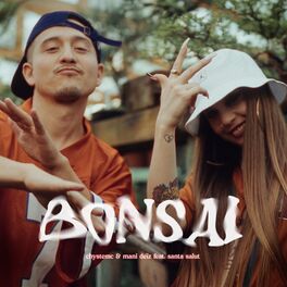 Album cover of BONSÁI