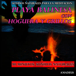 Album cover of Sonidos Naturales para la Meditación: Playa Balinesa Con Hoguera y Grillos