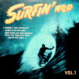 Album cover of Surfin' Wild