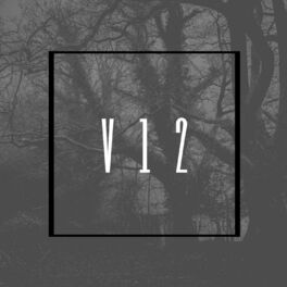 Album cover of V12