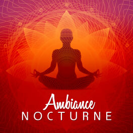 Album cover of Ambiance Nocturne