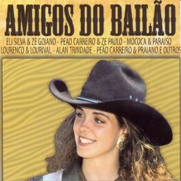 Album cover of Amigos do Bailão