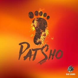 Album cover of Pat Sho Riddim
