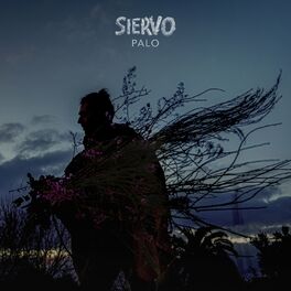 Album cover of Siervo