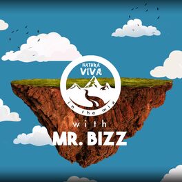 Album cover of Natura Viva In The Mix With Mr. Bizz