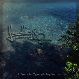 Album cover of A Certain Type of Implosion