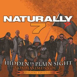 Album cover of Hidden in Plain Sight (Deluxe)