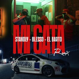 Album cover of Mi Gata (Remix)