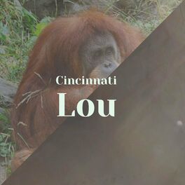 Album cover of Cincinnati Lou