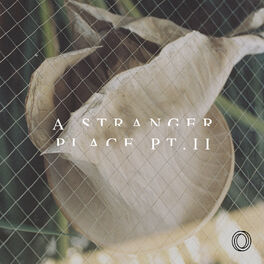 Album cover of A Stranger Place Pt. II
