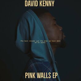 Album cover of Pink Walls