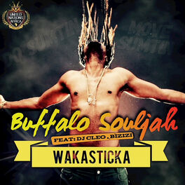 Album cover of Wakasticka