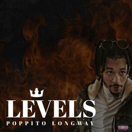 Album cover of Levels