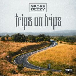 Album cover of Trips on Trips