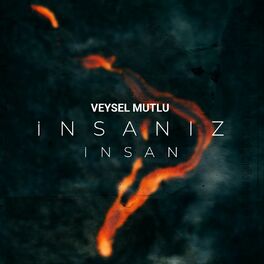 Album cover of İnsanız İnsan