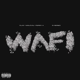 Album cover of Wafi (feat. G Herbo)