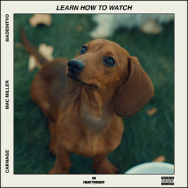 Album cover of Learn How to Watch
