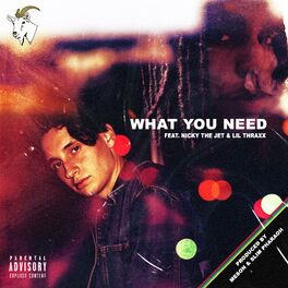 Album cover of What You Need (feat. Nicky the Jet & Lil Thraxx)