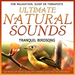 Album cover of Ultimate Natural Sounds - Tranquil Birdsong