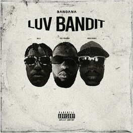 Album cover of Luv Bandit
