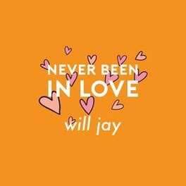 Album cover of Never Been in Love