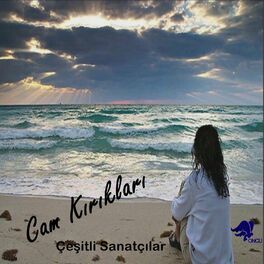 Album cover of Cam Kırıkları