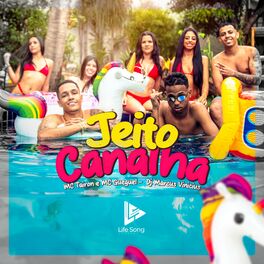 Album cover of Jeito Canalha