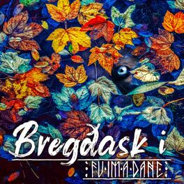 Album cover of Bregðask I