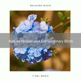 Album cover of ! ! ! ! ! ! ! ! ! ! Nature Noises and Extraordinary Birds