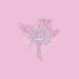 Album cover of orion