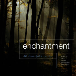 Album cover of Enchantment - 40 Peaceful Classics