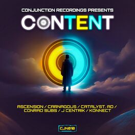 Album cover of The Content L.P.