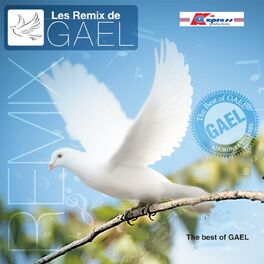 Album cover of Les Remix De Gael Vol.1 & 2