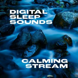 Album cover of Calming Stream