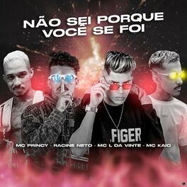 Album cover of Não Sei Porque Você Se Foi (Brega Funk)
