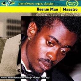 Album cover of Maestro